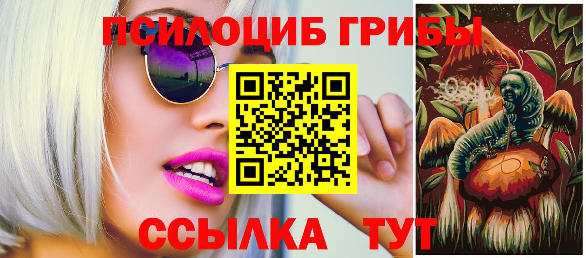 Липецк  наркотики  Псилоцибиновые грибы прущие грибы  Вход с VPN  Псилоцибиновые грибы мицелий 