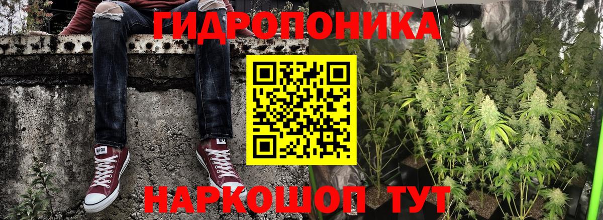 Марихуана семена  Конопля AK-47  Липецк  Вход с VPN  Бошки марихуана THC 21%  Канабис VHQ 